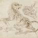 Study for a Tiger and Monkeys
